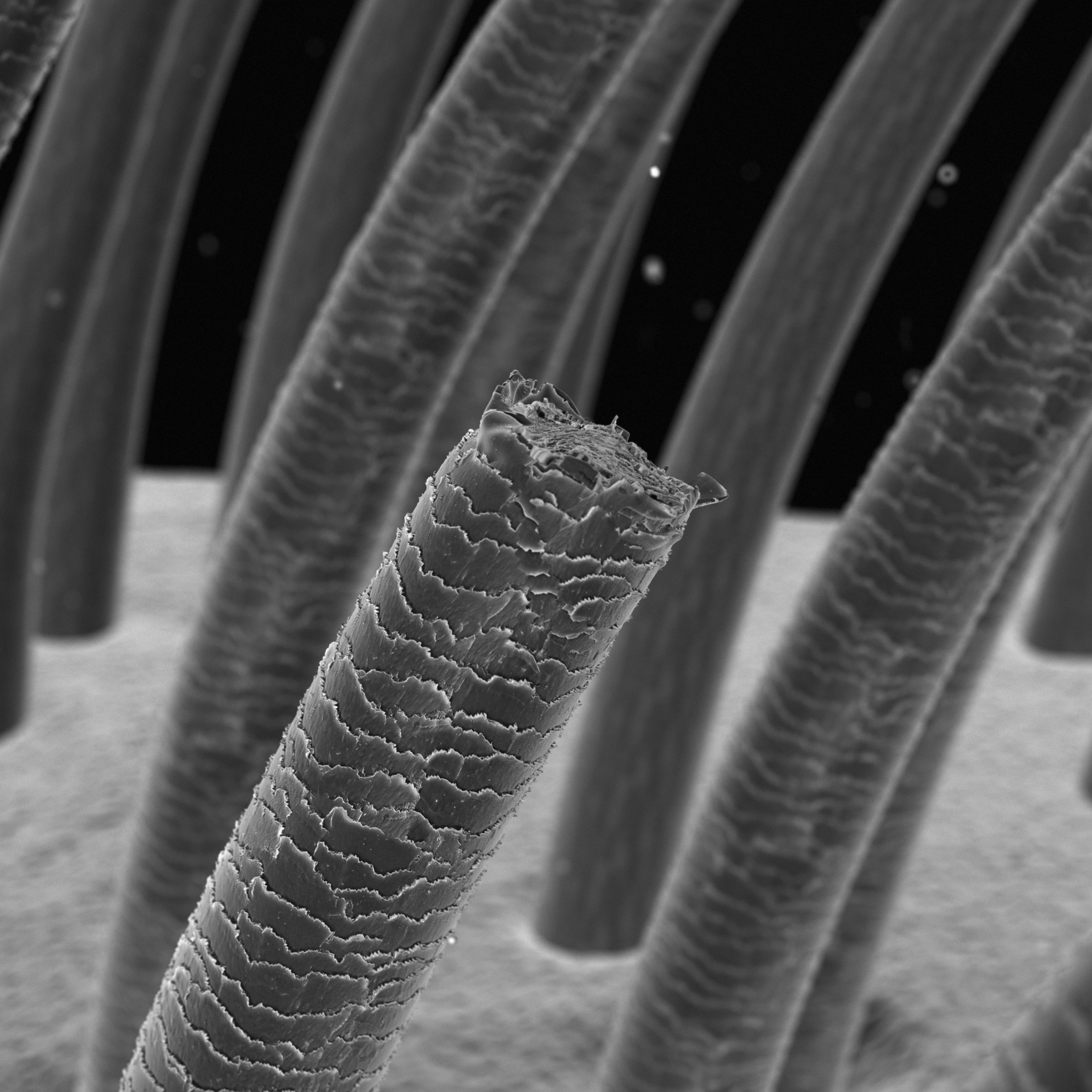 Six Ways to Stop Natural Hair Breakage