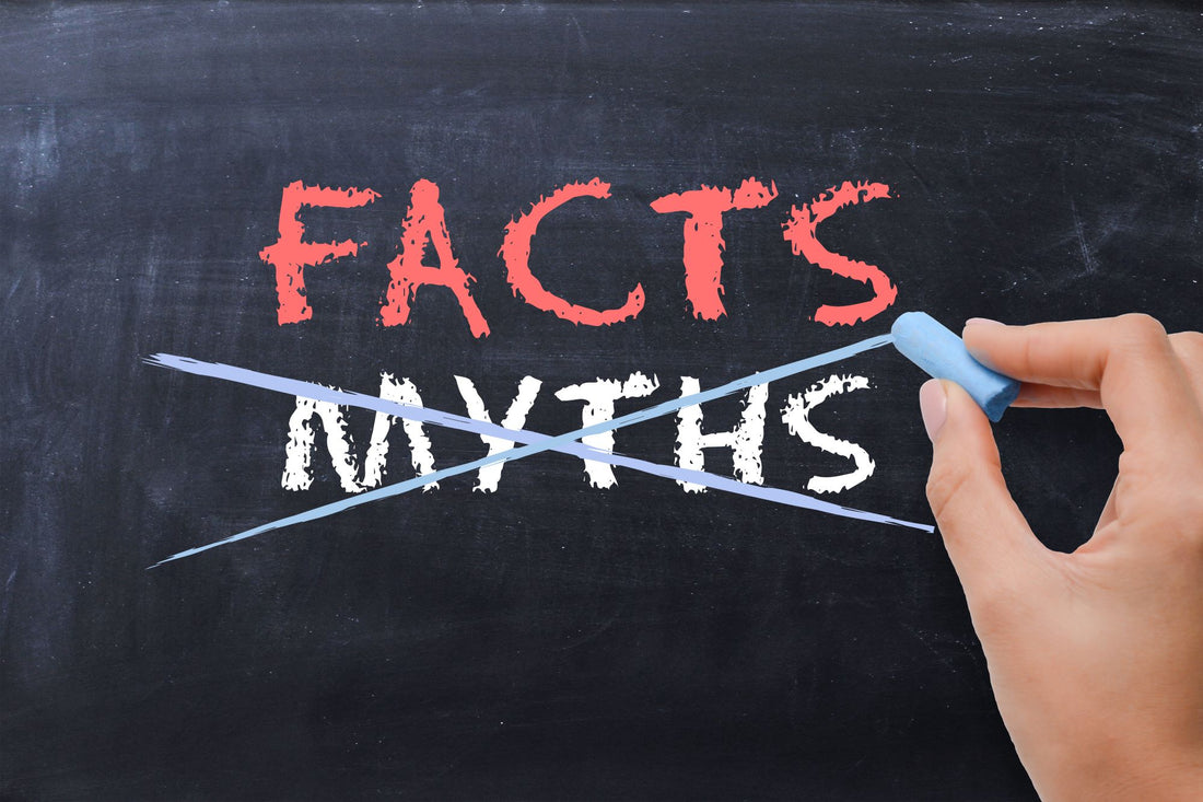 7 Common Myths About Natural Hair that People Believe
